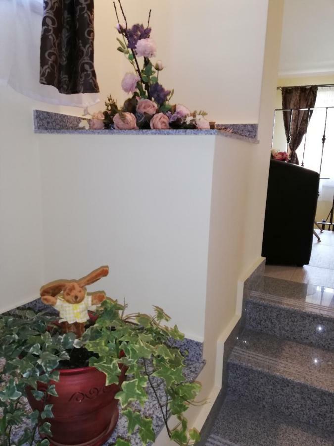 Hotel Casa Daomi Deva Esterno foto